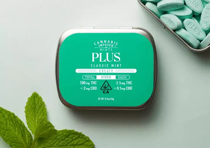 Mints: the perfect traveling companion for business trips