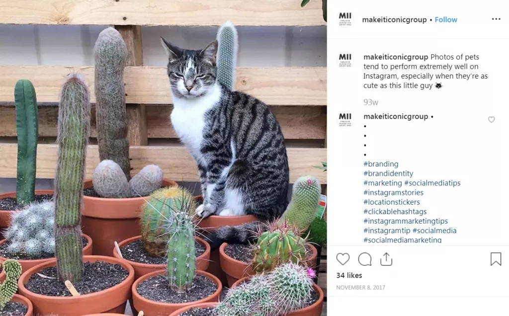 What to put in your Instagram captions