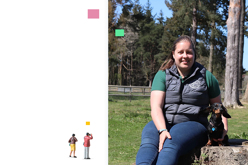 Holistic hounds about business profile