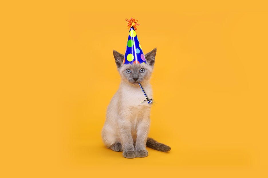 How to Turn a Simple “Happy Birthday” Email into a Repeat Client