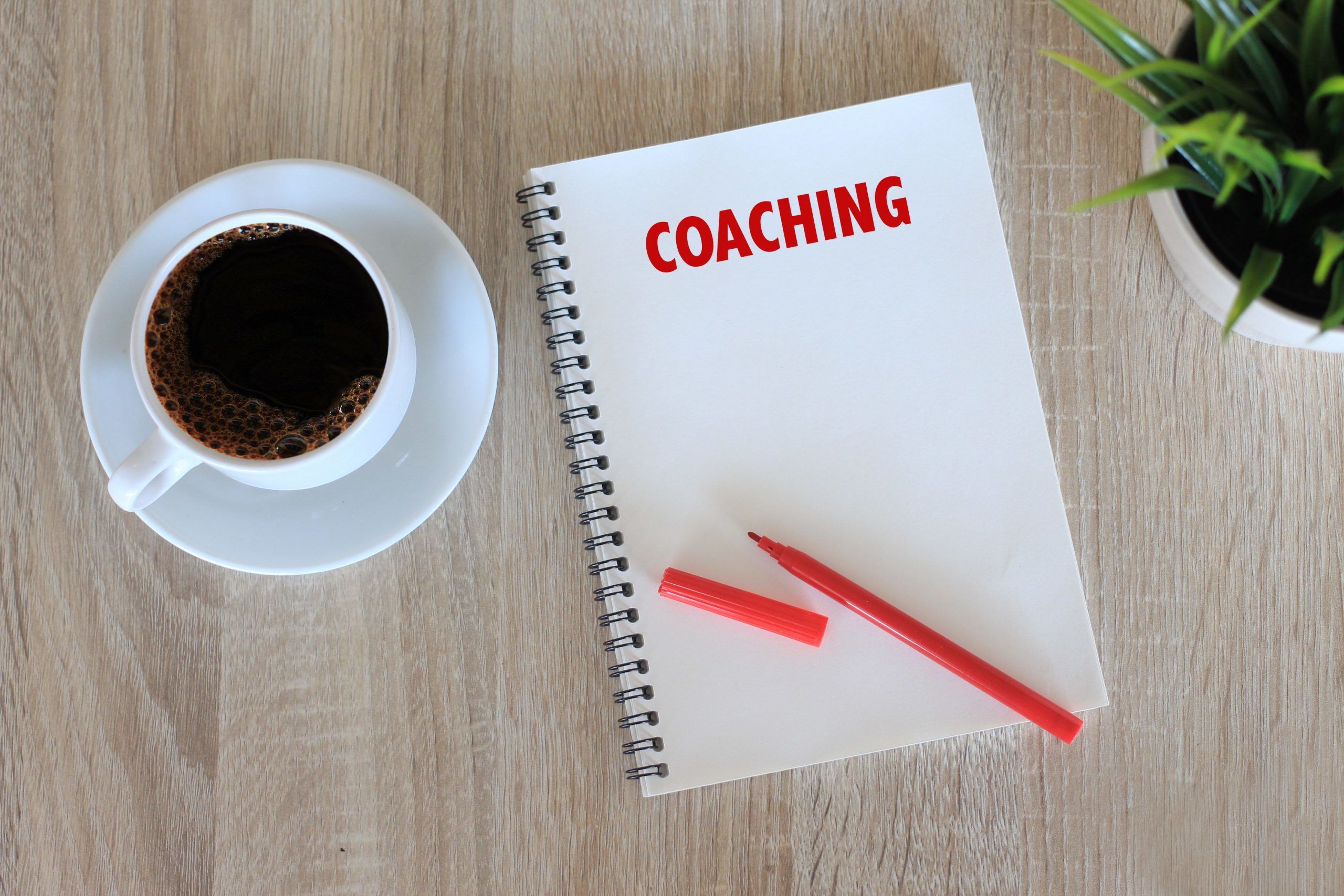 How To Start A Successful Coaching Business In 6 Easy Steps | Vcita