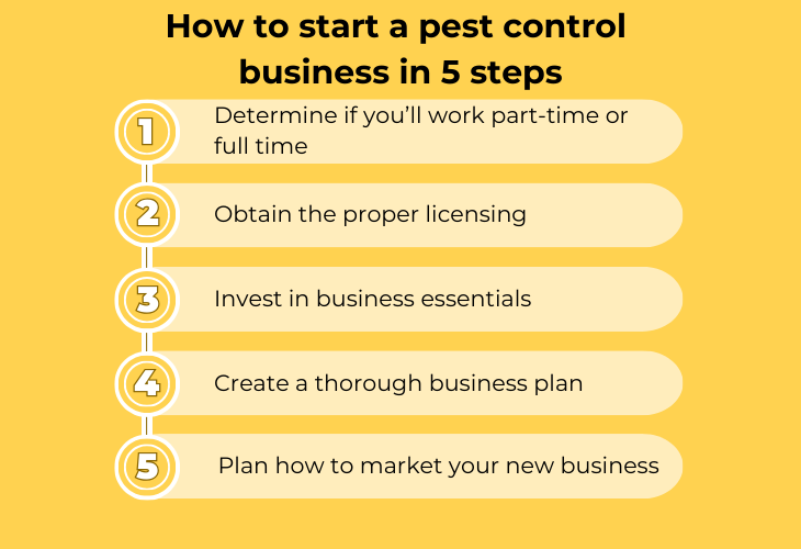 How to start a pest control business in 5 steps