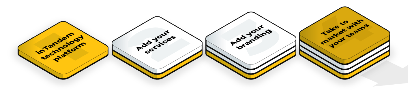 How inTandem Pro works