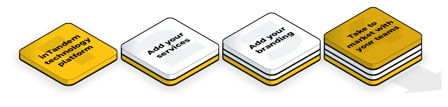 How inTandem Pro works